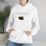 I'm A Shameless Chocoholic Hooded Sweatshirt