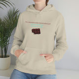 I'm A Shameless Chocoholic Hooded Sweatshirt