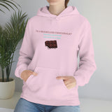 I'm A Shameless Chocoholic Hooded Sweatshirt